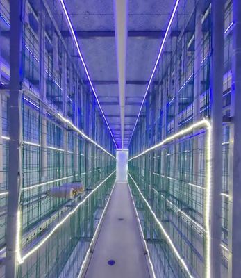 원격 모니터링 및 표준 20피트 또는 40피트 컨테이너를 갖춘 유지 보수가 적은 버섯 컨테이너 농장