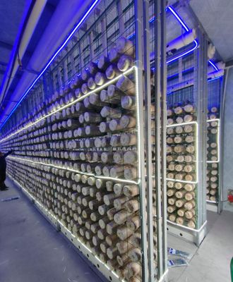 원격 모니터링 및 표준 20피트 또는 40피트 컨테이너를 갖춘 유지 보수가 적은 버섯 컨테이너 농장