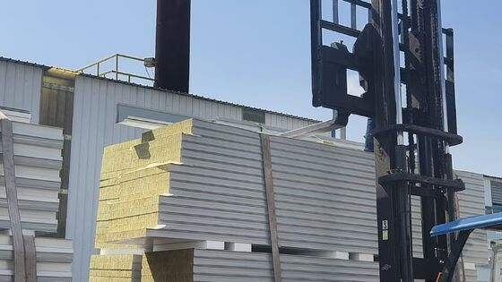 고 청결 환경을위한 커스터마이징 할 수있는 두께와 함께 소음 단열 방화 방지 청정실 샌드위치 패널